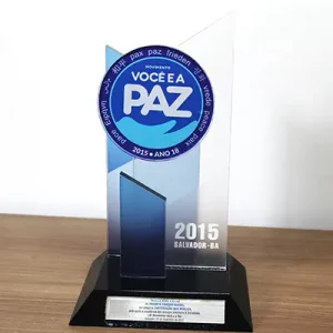 Troféu Você e a Paz 2015 - Categoria Instituição que realiza (18º Movimento Você e a Paz) copy